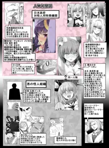 魔法少女VS快楽堕とし女, 日本語