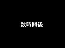 めすがきブラっくっ!, 日本語