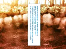 おいでませ♪生種付け温泉～再び～, 日本語