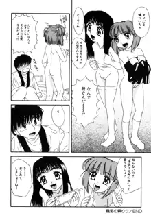 変態ッ娘は好きですか？, 日本語