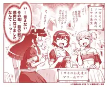 悪魔娘監禁日誌シリーズ, 日本語