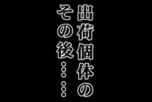 壁肉便器にされた格ゲーヒロイン達, 日本語