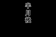 壁肉便器にされた格ゲーヒロイン達, 日本語