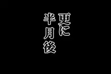 壁肉便器にされた格ゲーヒロイン達, 日本語