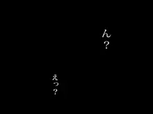 家賃のいらないパコはめアパート ～ワシのアパートビジネス～, 日本語