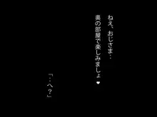 家賃のいらないパコはめアパート ～ワシのアパートビジネス～, 日本語