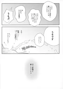 女の子たちのひみつの冒険, 日本語