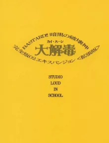 Bastard!! - Expansion, 日本語