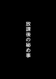 学校の中でヤるHなこと, 日本語