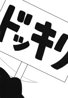 純狐さんが忘れない, 日本語