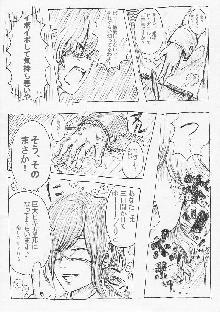 オオヒキガエル化漫画（※TF注意）, 日本語