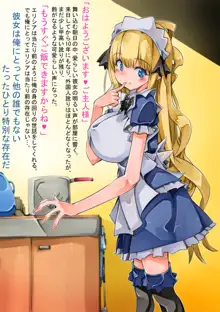 幼なじみの金髪巨乳メイドさんにフラれたので孕ませ魔道具で犯してみた, 日本語