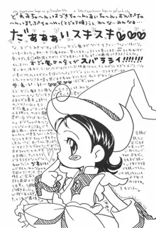 どれみパラダイス 5, 日本語