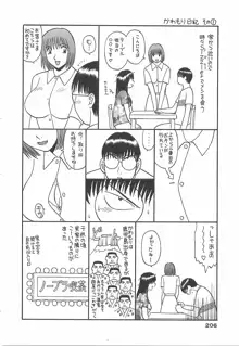 お姉さまにお願いっ!1, 日本語