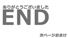 愛情飢餓系性悪女, 日本語