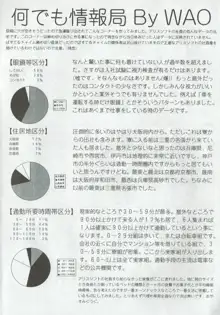 アリスのでんちばくだん Vol. 02, 日本語