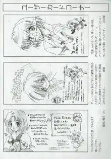 アリスのでんちばくだん Vol. 09, 日本語