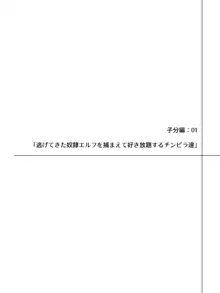 エルフにひどいことしたいチンピラ達のお話, 日本語