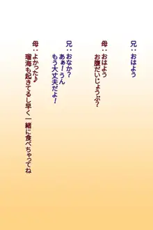 うちの妹は変態だ!!, 日本語