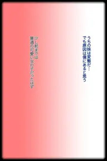 うちの妹は変態だ!!, 日本語