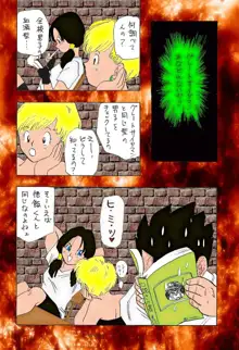 dragonball XXX, 日本語