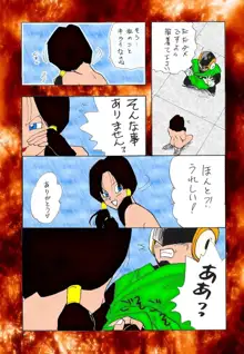 dragonball XXX, 日本語