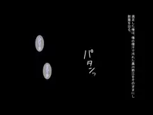 俺をいじめたJKどもを催眠アプリで孕ませた話, 日本語