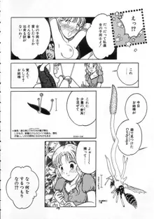 少女の適応と放散, 日本語