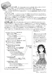 少女の適応と放散, 日本語