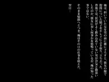 歩きスマホは条例違反！見つけたら問答無用で即ハメ生中出し！, 日本語