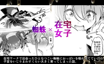 蜘蛛×在宅女子, 日本語