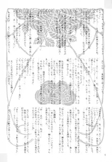 MALLEUS MALEFICARUM～魔女への鉄槌～, 日本語