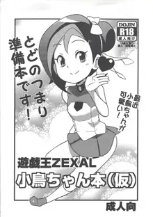 遊戯王ZEXAL小鳥ちゃん本, 日本語