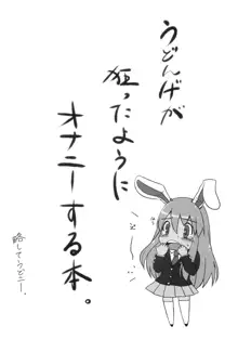 うどニー, 日本語