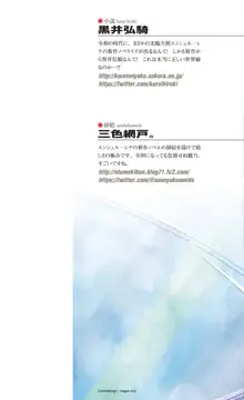 sin光臨天使エンシェル・レナFD THE NOVEL, 日本語