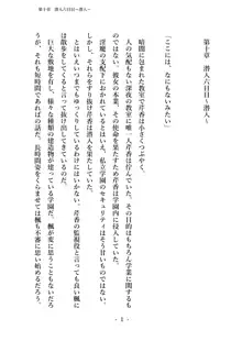 潜入捜査で正体がバレちゃいけない状況で身体改造を強要される退魔師芹香ちゃん 下巻, 日本語