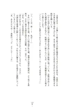 守護姫 淫神復活の宴, 日本語