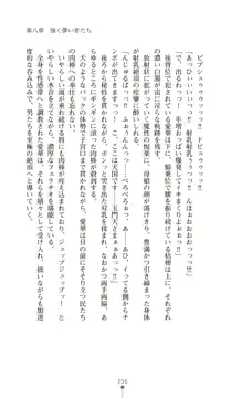 守護姫 淫神復活の宴, 日本語