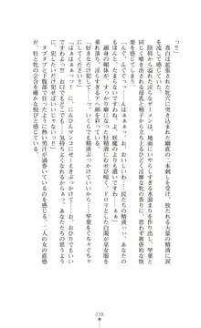 守護姫 淫神復活の宴, 日本語