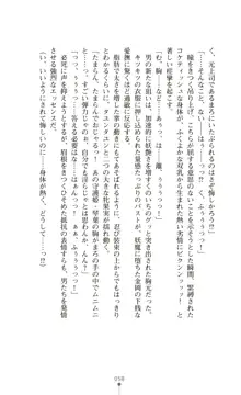 守護姫 淫神復活の宴, 日本語