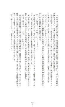 守護姫 淫神復活の宴, 日本語