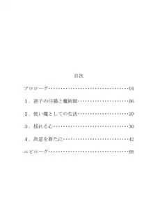 ワケあり魔術師に拾われた転生TSロリにゃん娘がメス堕ちしていちゃらぶHするようになるまでのお話, 日本語