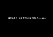 Kimijima-ke de no Dekigoto 3 - Kanzenban AM 8.30 11.15, 日本語