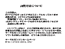 Kimijima-ke de no Dekigoto 4 - Kanzenban PM1.15 21.00 and Sono Ato, 日本語