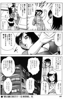 愛は鍵の数だけ…PART.2, 日本語