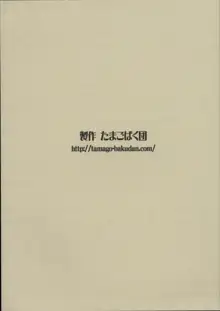 青春18禁きっぷ3, 日本語