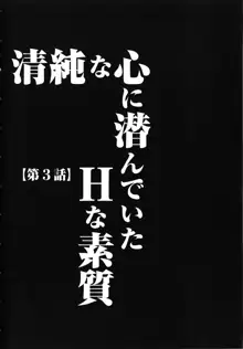 ヴァージントレイン 完全版, 日本語