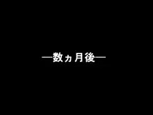 はらませリりかるっ!, 日本語