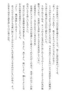 兄妹ですが異世界で結婚しました。 かけおちスローライフ, 日本語