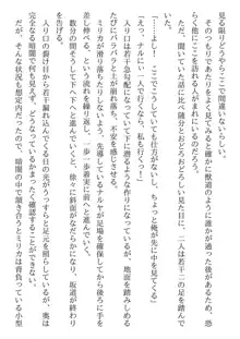 兄妹ですが異世界で結婚しました。 かけおちスローライフ, 日本語